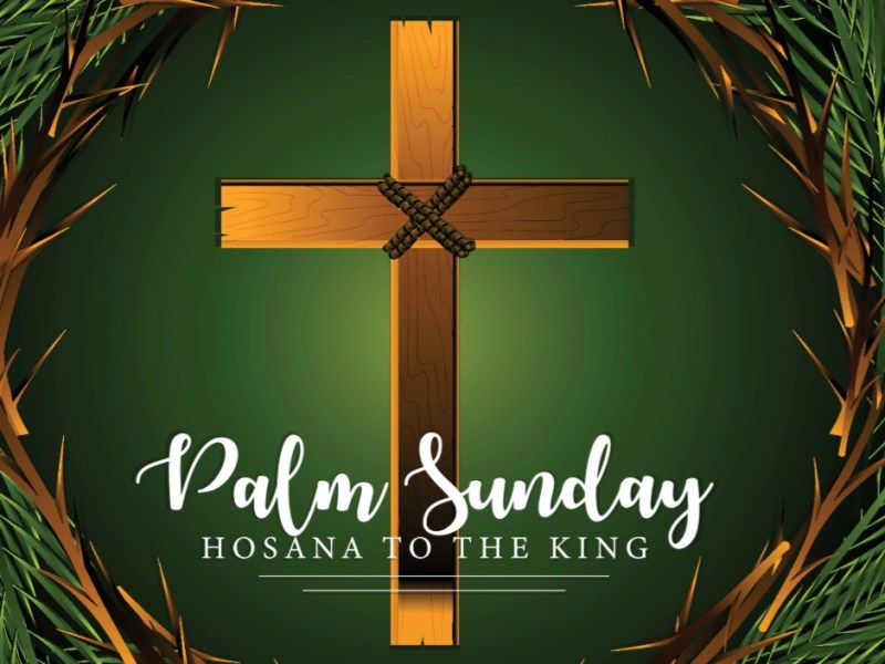 Holy Week: Palm Sunday, Jesus’ Triumphant&nbsp;Entry